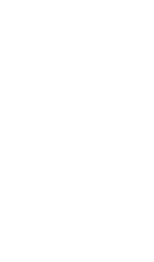 Zap icon